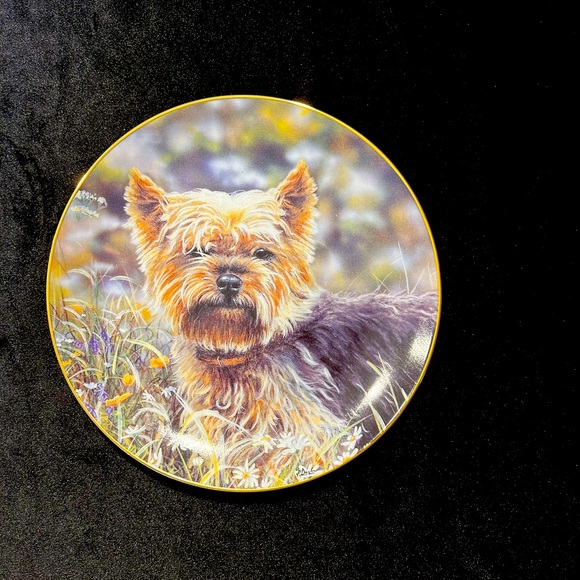 Danbury Mint “Little Charmer” Yorkshire Terrier plate - Picture 1 of 3